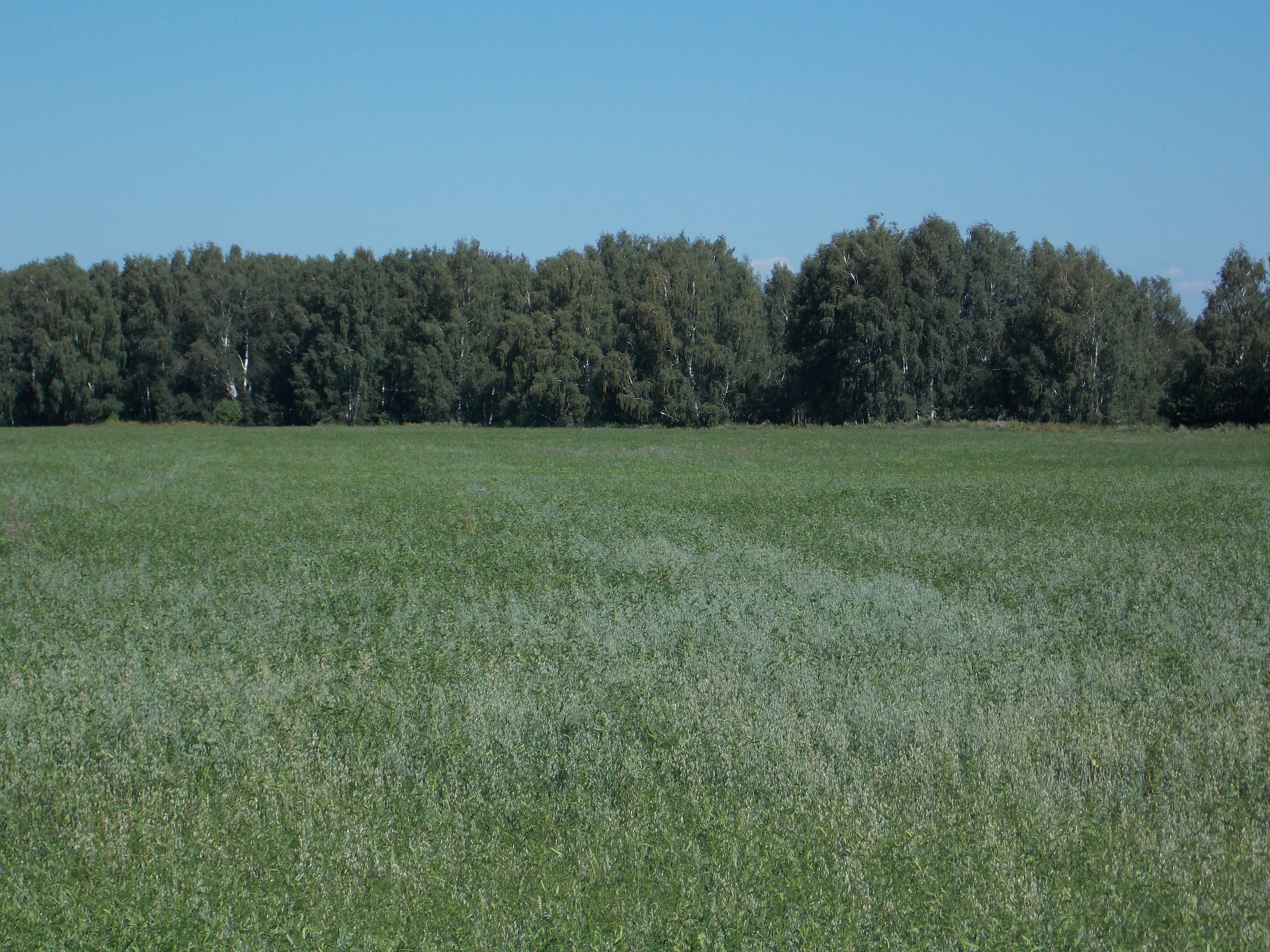 Продажа участка, 919 кв.м.