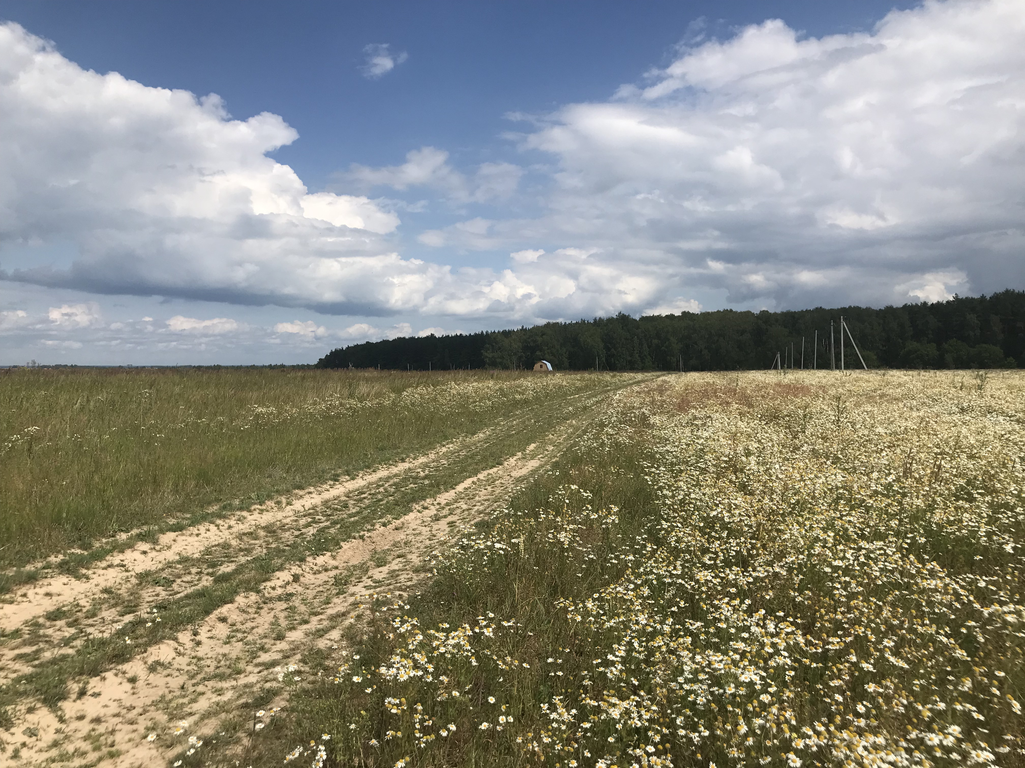 Продажа участка, 770 кв.м.
