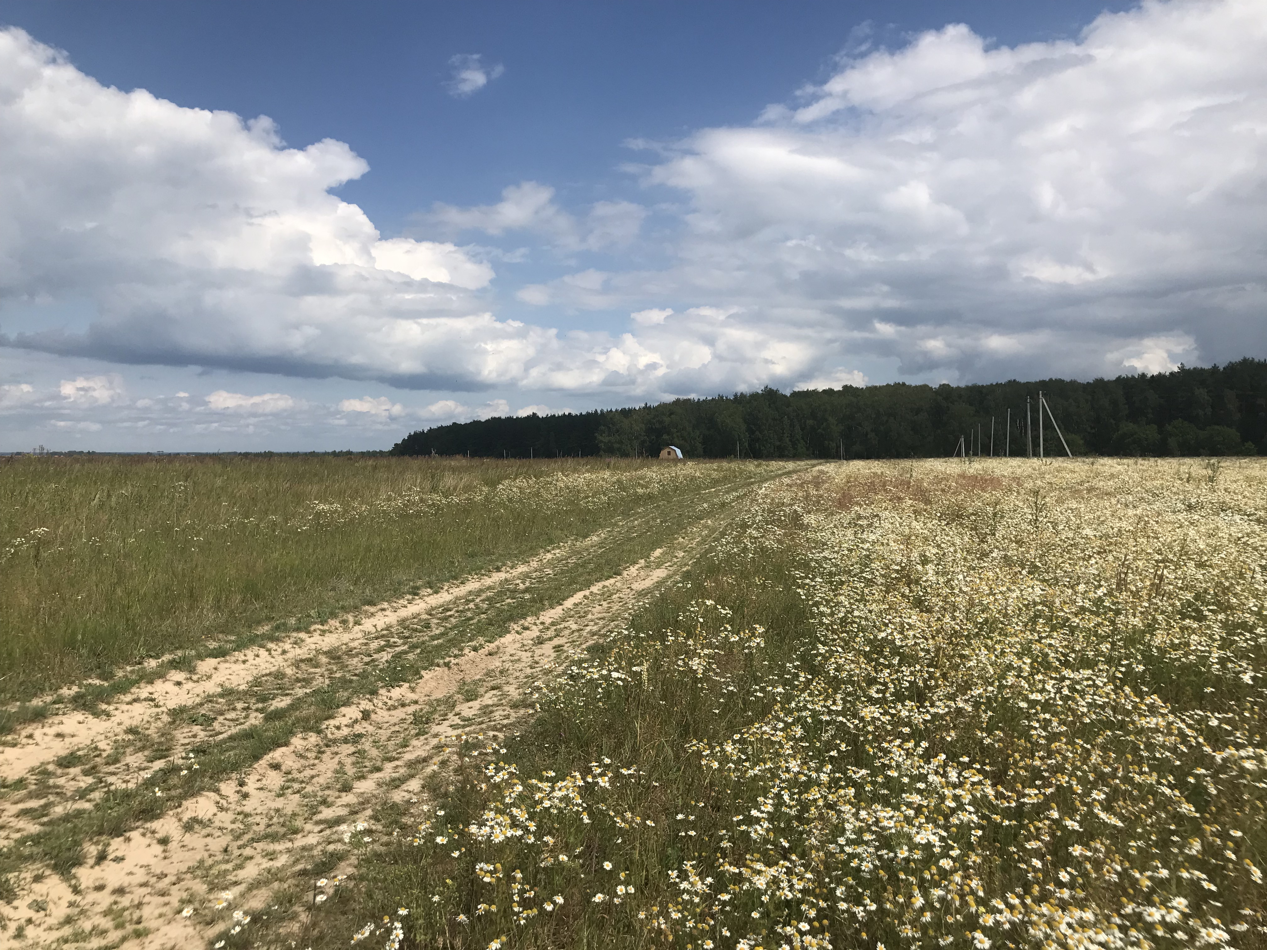 Купить земельный участок: д Грецкая, обл Московская